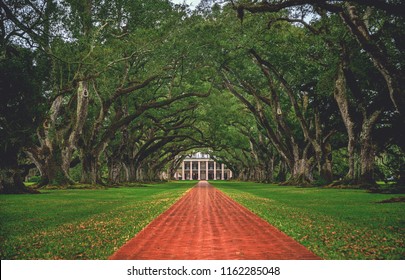 Looking down the tree tunnel of the infamous Oak Alley Plantation in Vacherie, Louisiana, arguably one of the best preserved and most stunning plantations of the antebellum south.