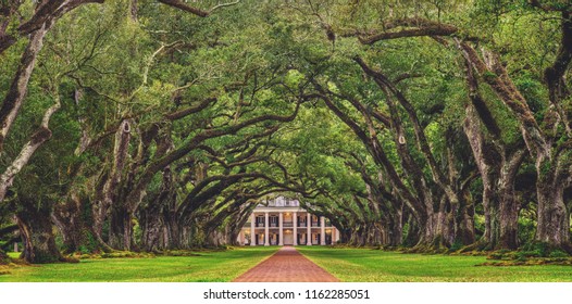 Looking down the tree tunnel of the infamous Oak Alley Plantation in Vacherie, Louisiana, arguably one of the best preserved and most stunning plantations of the antebellum south.
