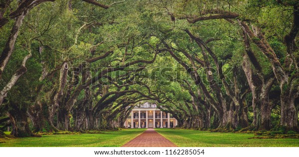 Looking\
down the tree tunnel of the infamous Oak Alley Plantation in\
Vacherie, Louisiana, arguably one of the best preserved and most\
stunning plantations of the antebellum\
south.