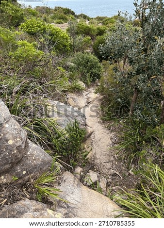 Looking down view at bushwalking trail.