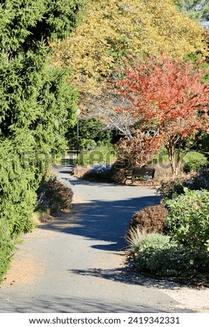 Looking down a winding walking path in a park.