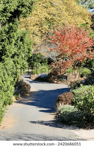 Looking down a winding walking path in a park.