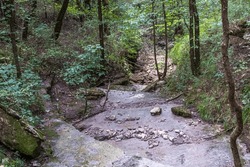 Looking Downslope At A Stream Bed In The Duck River Complex Near Columbia, TN, USA