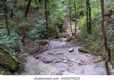Looking downslope at a stream bed in the Duck River Complex near Columbia, TN, USA