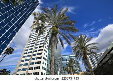 Looking up at the downtown Orlando skyline, steps away from Lake Eola. - Powered by Shutterstock