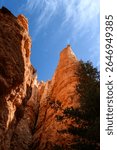 Looking up at dramatic rock spire hoodoo with blue sky and wispy white clouds above, summer vacation exploring in Bryce Canyon National Park, Utah
