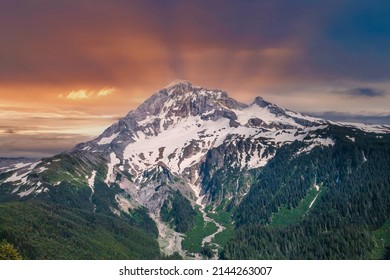 Looking East At The West Slopes Of Mt Hood, From The Lolo Pass Road