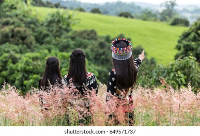 Looking at the field