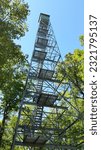 Looking up at a fire tower among the trees in Itasca State Park in Minnesota