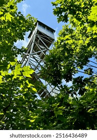 Looking up at the fire tower through trees on Mount Tremper in the Catskill Mountains in New York State