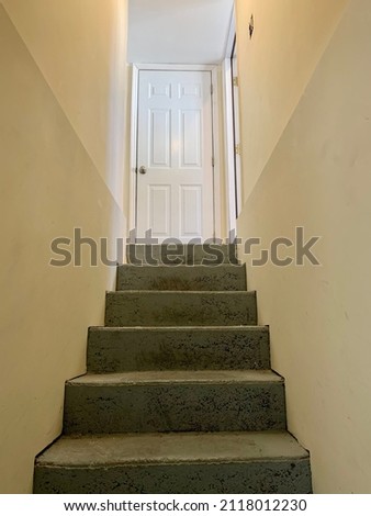 Looking up a flight of stairs from the basement of a suburban home to a back door that leads to the outside. The steps are made of painted cement, are steep, and have no railing.