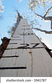 Looking Up At The Flood Height Marker To The Blue Sky