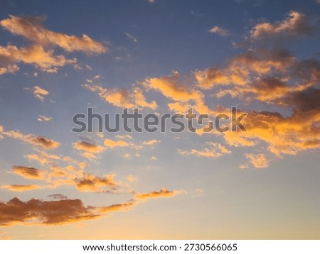 looking up fluffy cotton candy colored clouds illuminated by the setting sun over carpinteria california 