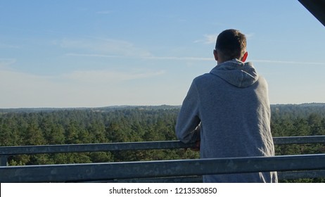 Looking to the forest from the high 