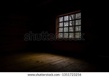 Looking at forest from inside log cabin.