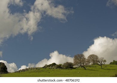 Looking up a green grassy hill with large stones and trees with only blue sky and clouds in the background on the Stanford University lands.