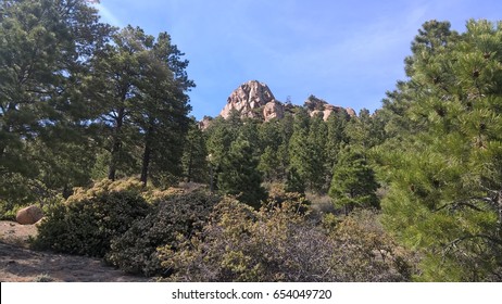 Looking Up At Hualapai Peak