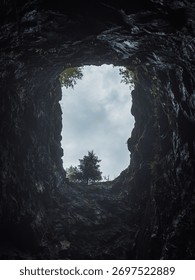 Looking up from inside a deep cave towards trees and a cloudy sky on a dim afternoon