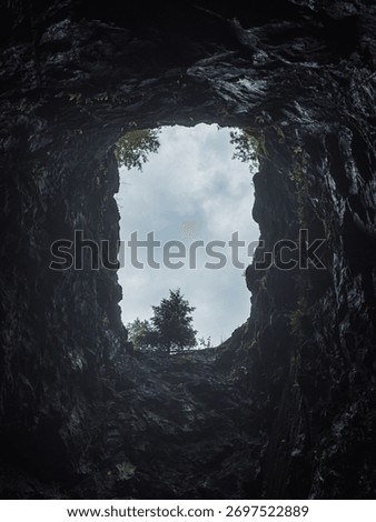 Looking up from inside a deep cave towards trees and a cloudy sky on a dim afternoon