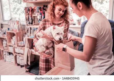 Looking Into Bag. Funny White Dog Looking Into Bag While Shopping In Pet Shop With Owner