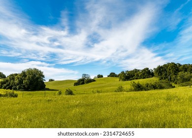 Looking up a large green grass hillside with dark green oak trees and brush on each side. A blue sky and wispy clouds are in the background - Powered by Shutterstock