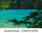 looking at the Lindeman Lake through leaves