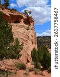 looking up at the man-made kanab  sand caves from the hiking trail  north of kanab,  along us highway 89,  on a sunny summer day