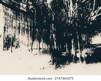 Looking up at massive banyan tree with extensive aerial roots in monochrome