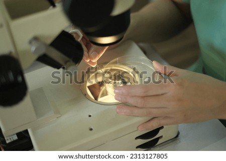 Looking for microscopic embryo(Goat embryo)