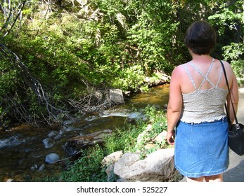 Looking at nature