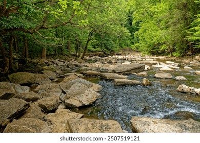 Looking in the opposite direction from the waterfall downstream where the water is rushing around the rocky boulder terrain through the lush green forest in summertime