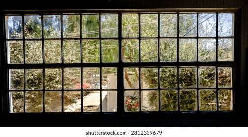 Looking out from a dark interior through a grimy, divided window pane reveals a vibrant, sun-drenched garden with abundant greenery and flowering plants
