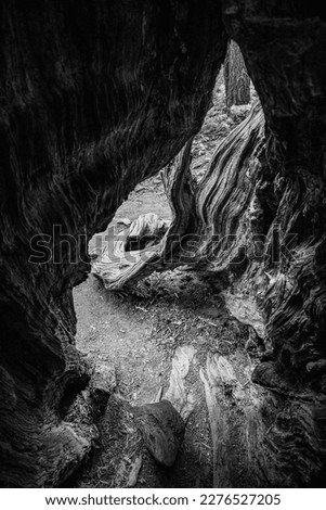 Similar – Image, Stock Photo Oregon Coast Nature