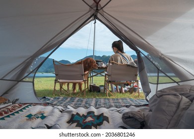 Looking out from the inside of the tent, the golden retriever accompanies the owner - Shutterstock ID 2036801246