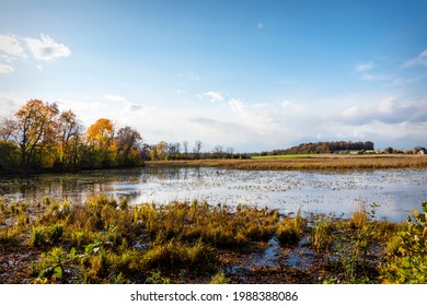 Looking Out Onto A Lowland Marsh In Waukesha County Wisconsin In The Fall.