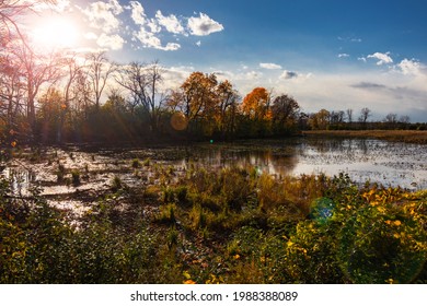 Looking Out Onto A Lowland Marsh In Waukesha County Wisconsin In The Fall.