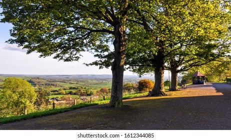 Looking Out Over The Blackmore Vale.