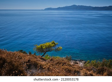 Looking Out Over Byzantine Ruins And Te Sea From Monemvasia