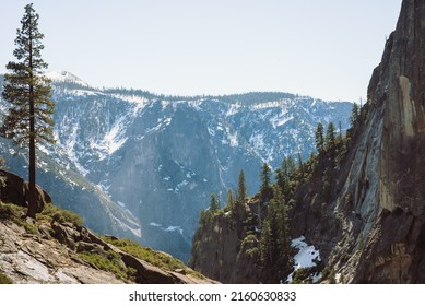 Looking out over the cliffs of the mountains in Yosemite from the Yosemite falls trail. Giant trees in the foreground and massive rock walls of the cliffs rise up in the background. Yosemite Falls.