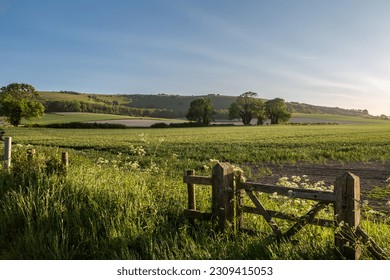 Looking out over farmland in Sussex on a sunny spring evening - Powered by Shutterstock