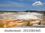 looking out over milky blue hot  springs and orange microbial mats in the porcelain  basin of norris geyser basin on  sunny summer day in yellowstone national park, wyoming      