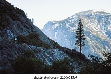 Looking out over the mountains and valley of Yosemite from the Yosemite falls trail. A lone tree rises in the foreground and great slabs of rock cliffs in the mid-ground. - Shutterstock ID 2160631569