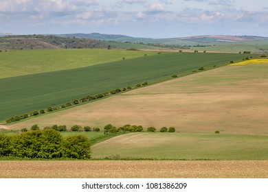 Looking Out Over A Patchwork Landscape In The South Downs, Sussex