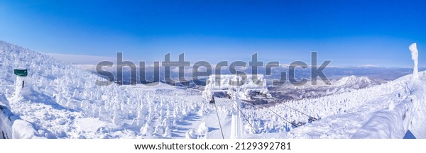 Looking out over\
snow monsters plateau from the top of  observatory (Zao-onsen ski\
resort, Yamagata,\
Japan)