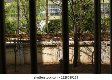 looking out side