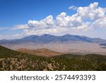 looking out at snake valley from a viewpoint along the wheeler peak scenic drive on a sunny summer  day  in great basin national park near baker, nevada