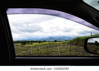 Looking Out The Window In Car With Green Paddy Field Background.Jasmine Rice Fields​ With​ Mountains​ Background​ In Chiang Mai.