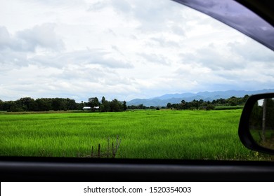 Looking Out The Window In Car With Green Paddy Field Background.Jasmine Rice Fields​ With​ Mountains​ Background​ In Chiang Mai.