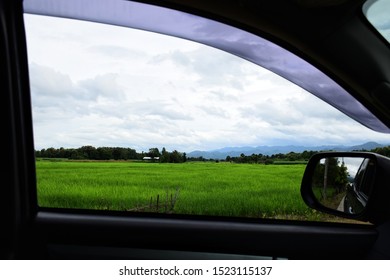 Looking Out The Window In Car With Green Paddy Field Background.Jasmine Rice Fields​ With​ Mountains​ Background​ In Chiang Mai.