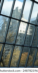 The looking outside view from the windows wall in the museum